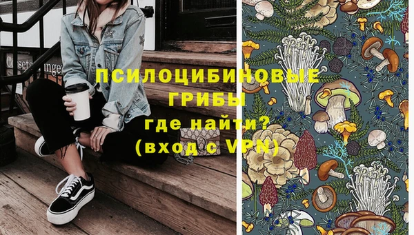 амф Майский