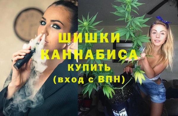 мдпв Вяземский