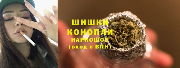 гашик Бежецк