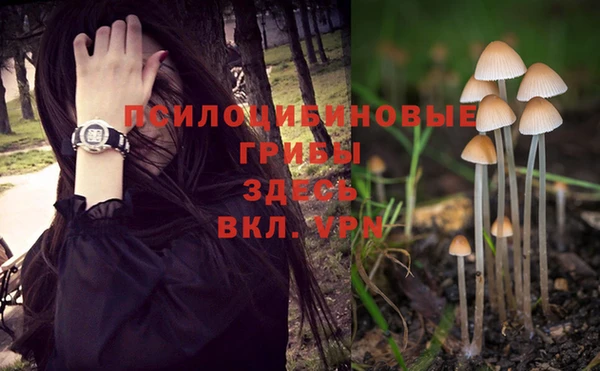 mix Мегион
