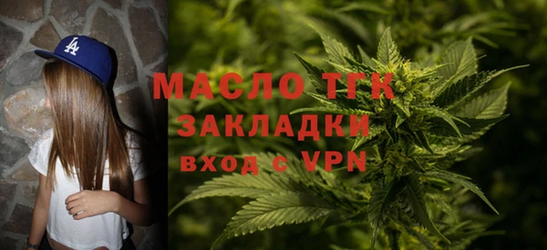 мдпв Вяземский