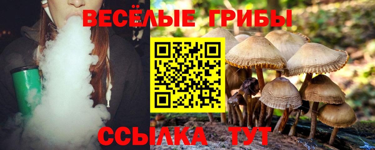 Псилоцибиновые грибы прущие грибы Зерноград