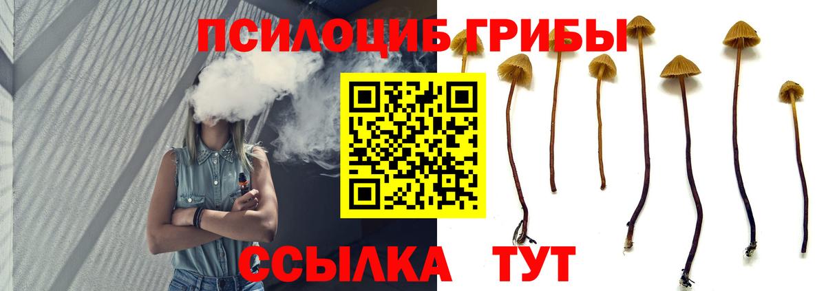 Альфа ПВП Зерноград